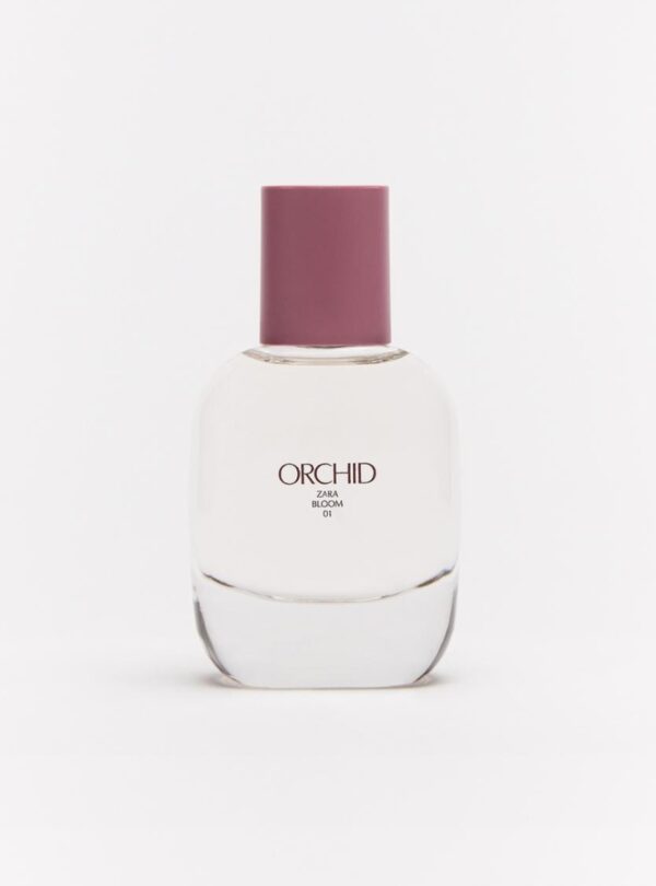 Orchid de Zara